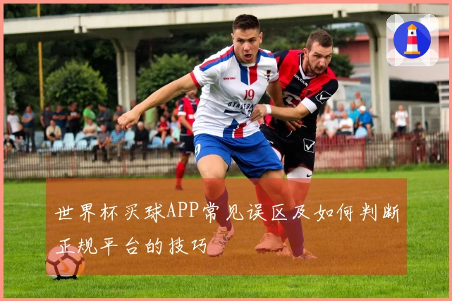 世界杯买球APP常见误区及如何判断正规平台的技巧