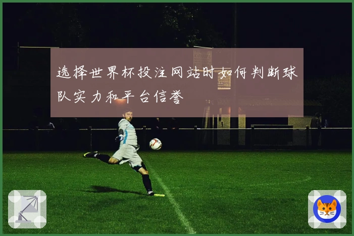 选择世界杯投注网站时如何判断球队实力和平台信誉 