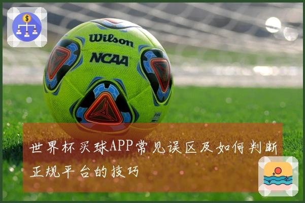 世界杯买球APP常见误区及如何判断正规平台的技巧
