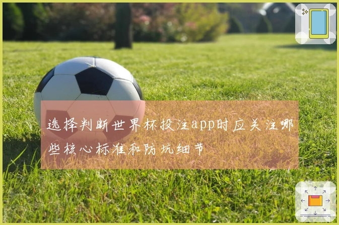 选择判断世界杯投注app时应关注哪些核心标准和防坑细节