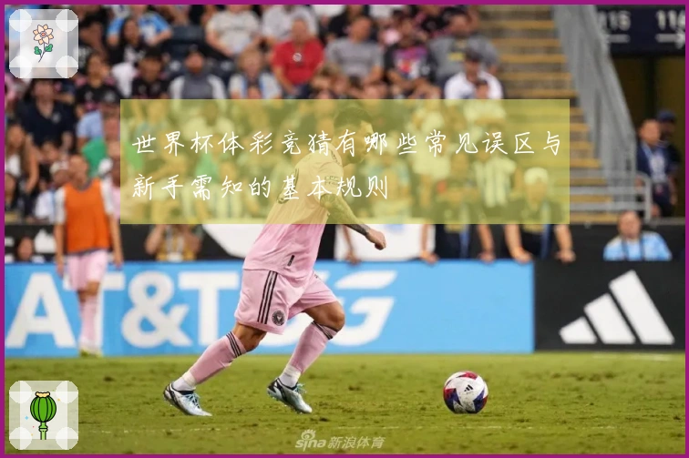 世界杯体彩竞猜有哪些常见误区与新手需知的基本规则